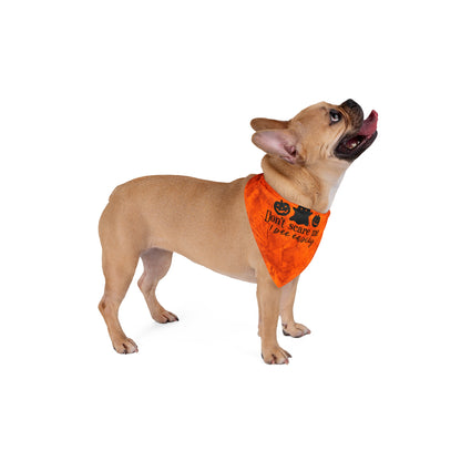 Don't Scare Me, I Pee Easily Halloween Dog Bandana