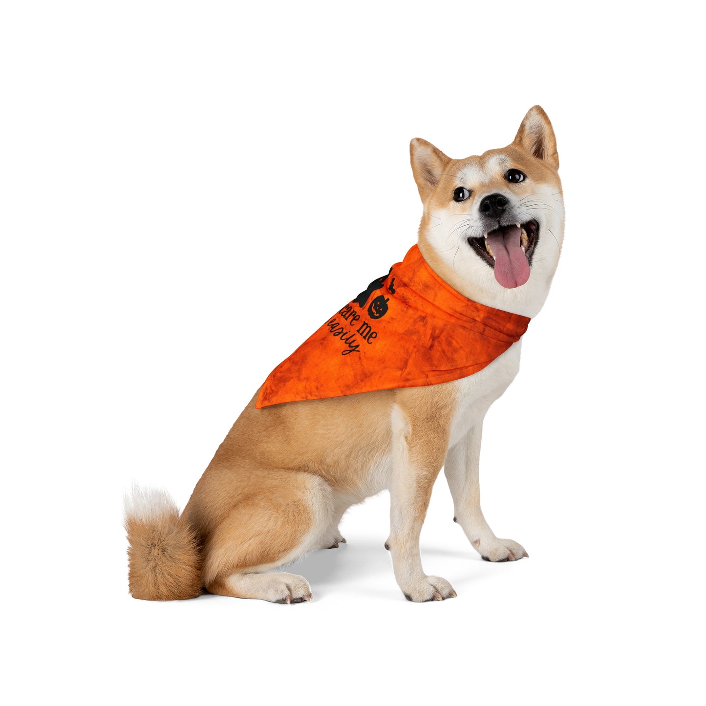 Don't Scare Me, I Pee Easily Halloween Dog Bandana