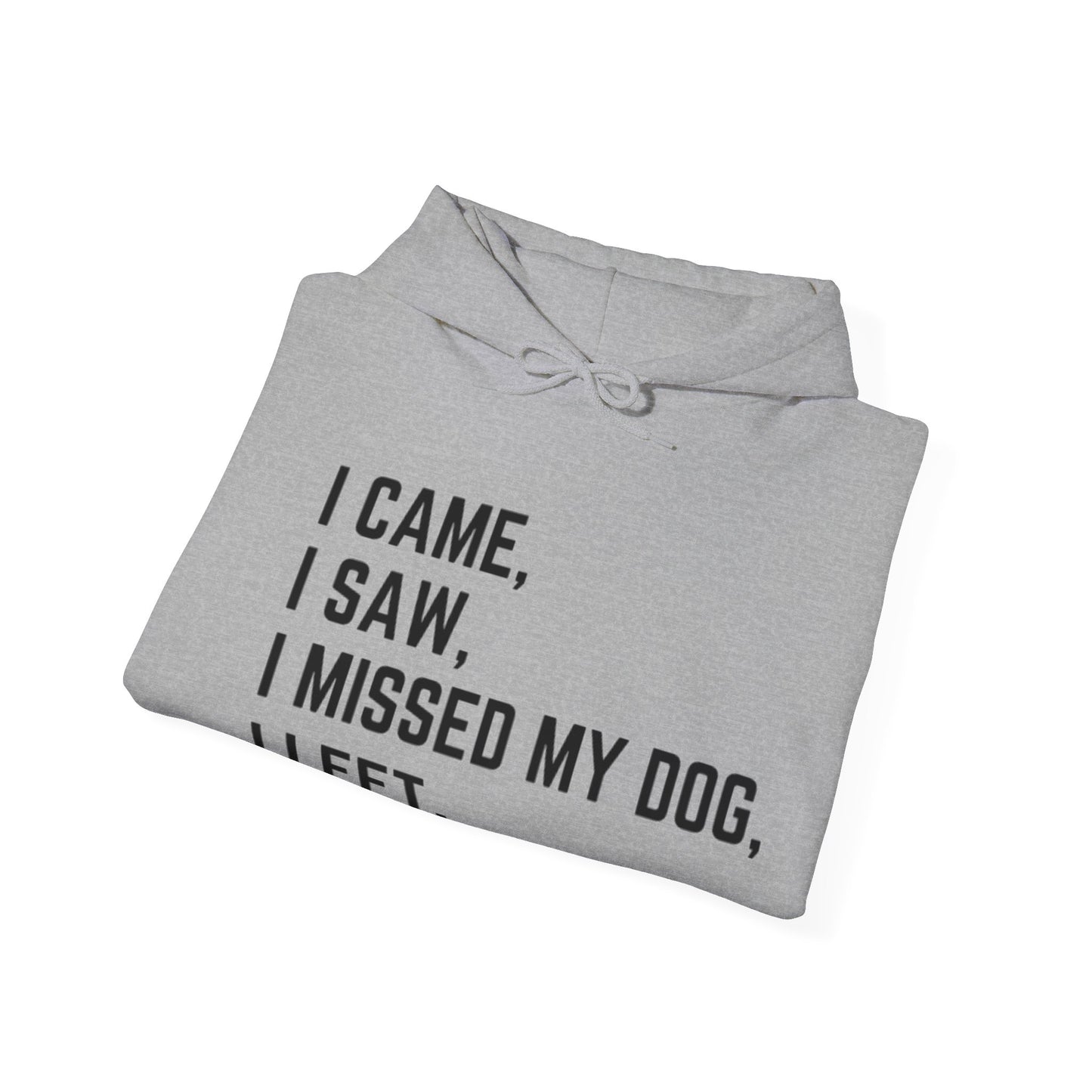 Came, Saw, Missed my Dog Hoodie