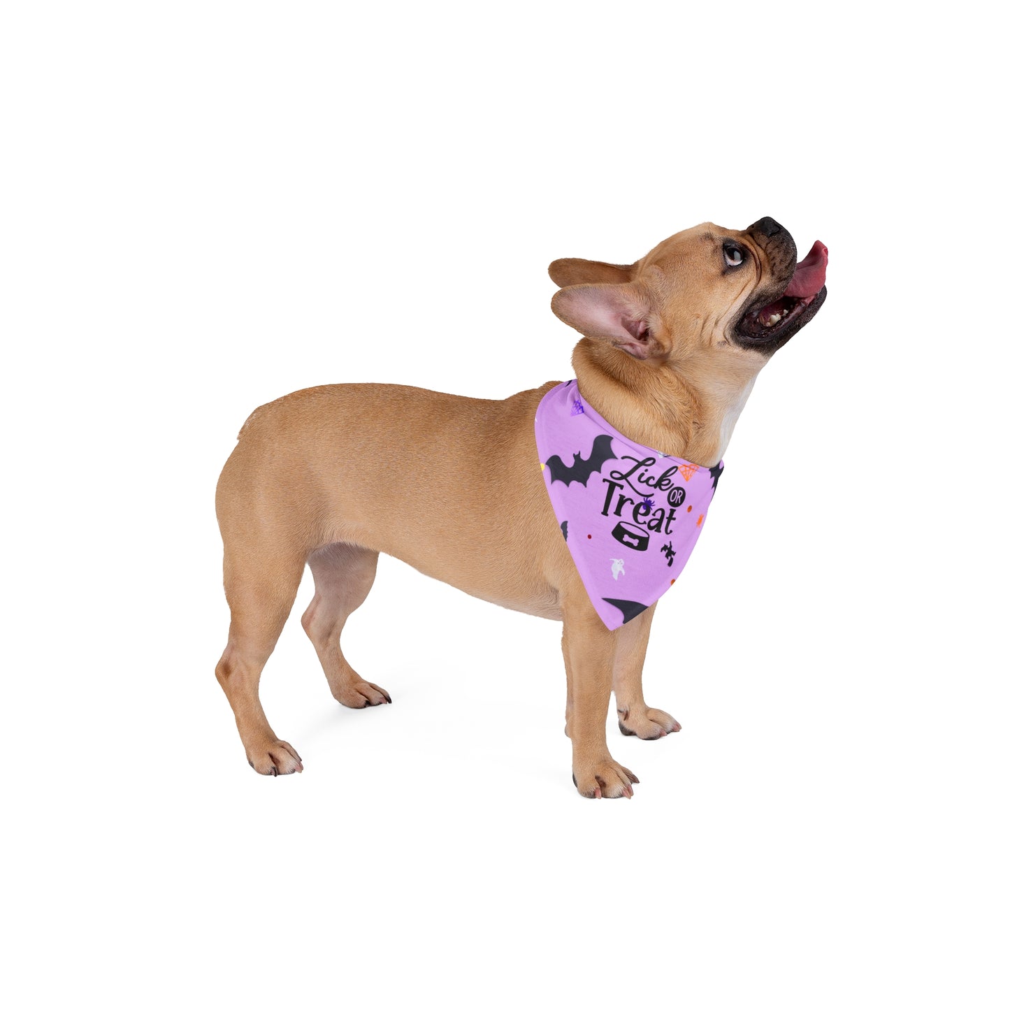 Lick or Treat Halloween Pet Bandana