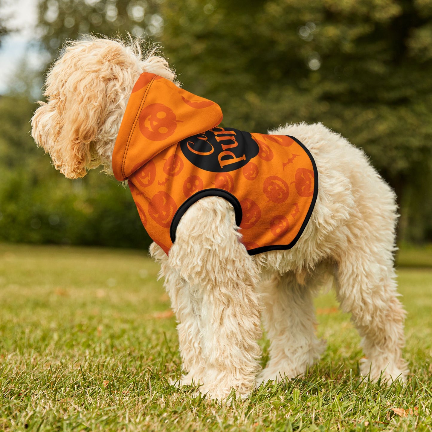 Cutest Pup-Kin Halloween Pet Hoodie