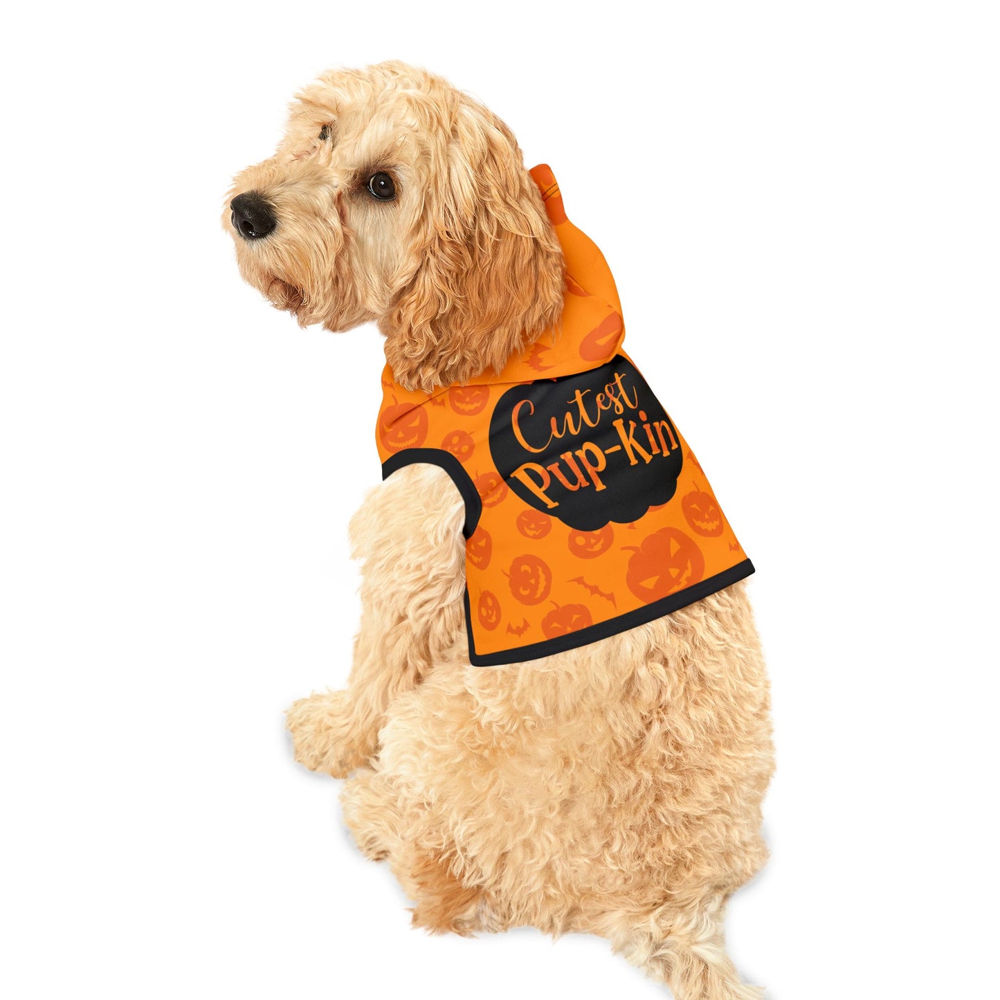 Cutest Pup-Kin Halloween Pet Hoodie